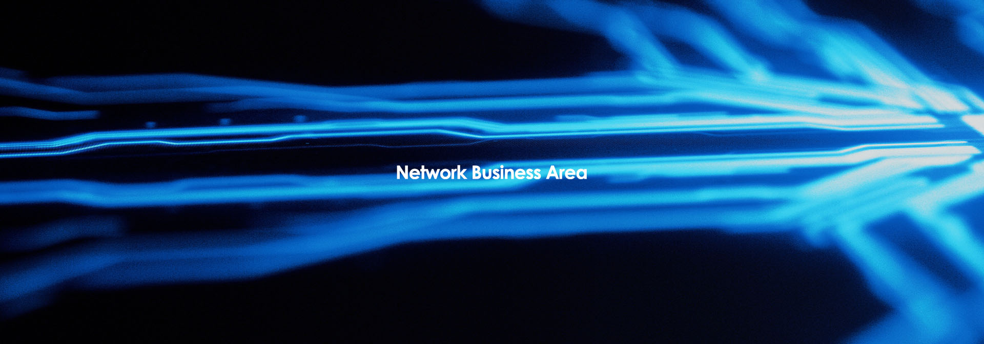 Network Business Area