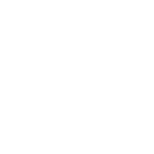 アイコン(オープン)