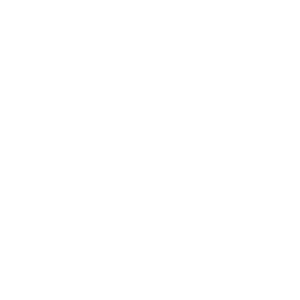 アイコン(信頼性)